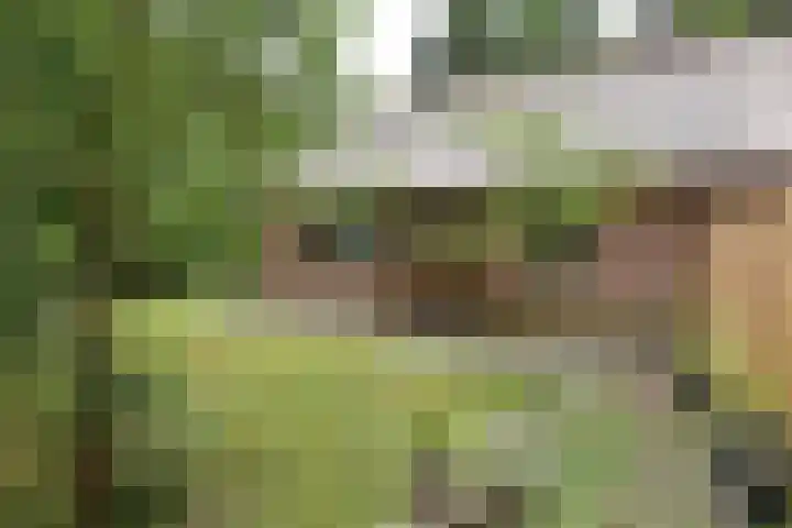 Koeweg 17 14B Epe thumbnail 7