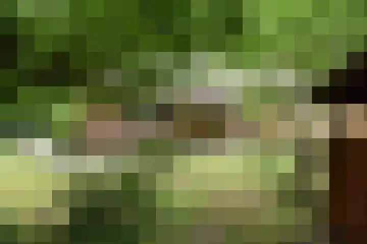Koeweg 17 14B Epe thumbnail 8