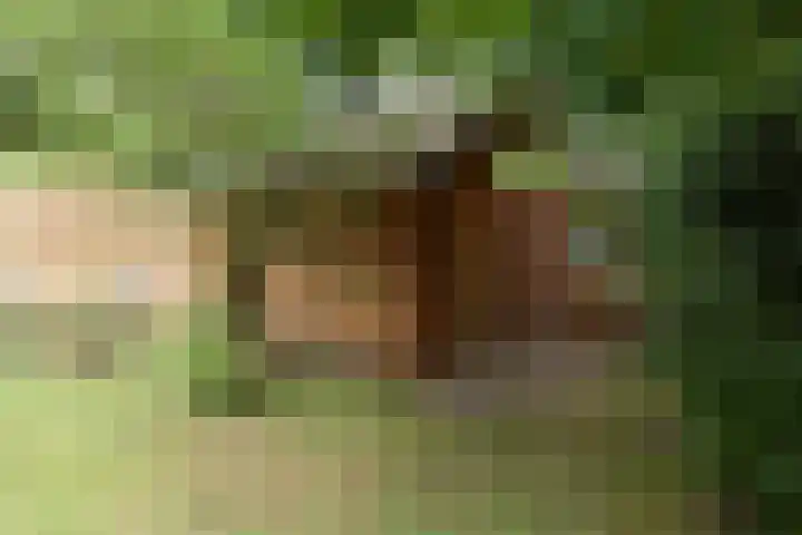 Koeweg 17 14B Epe thumbnail 9