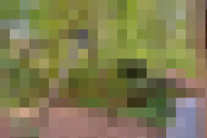 Koeweg 17 17 Epe thumbnail 23