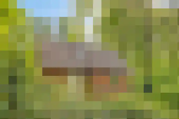 Koeweg 17 17 Epe thumbnail 26