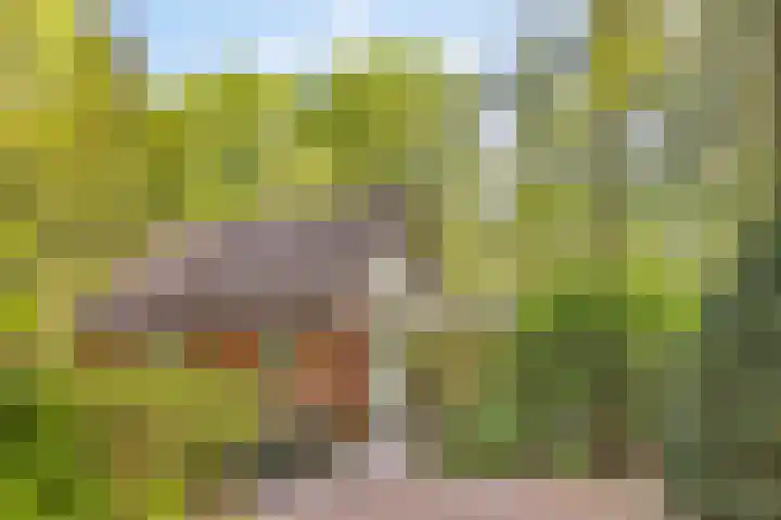 Koeweg 17 17 Epe thumbnail 5