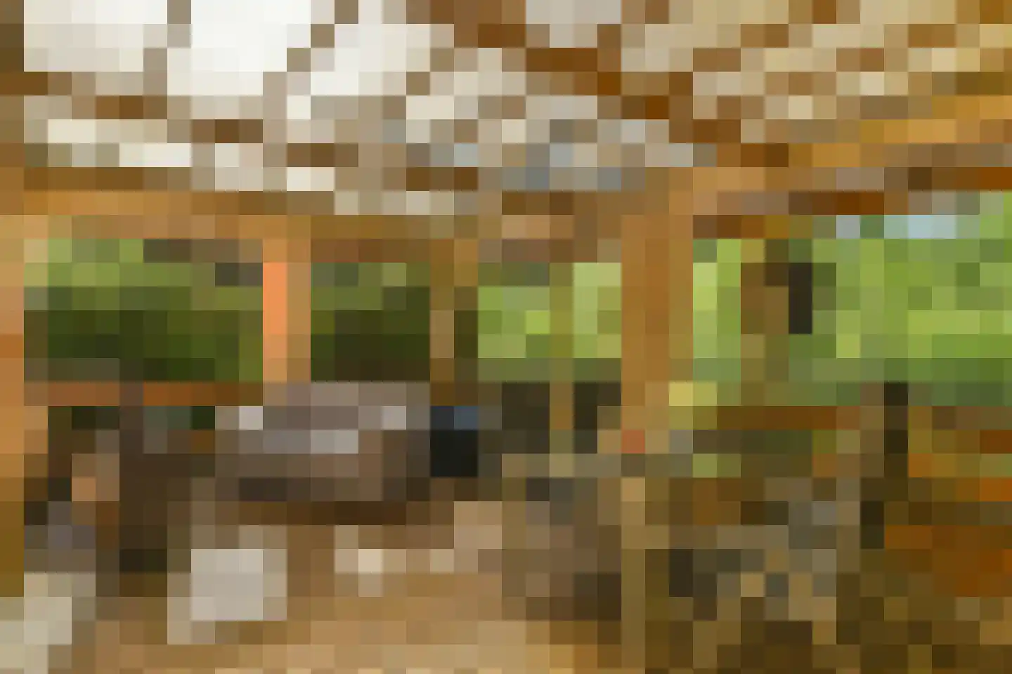 Koeweg 17 22 Epe thumbnail 22