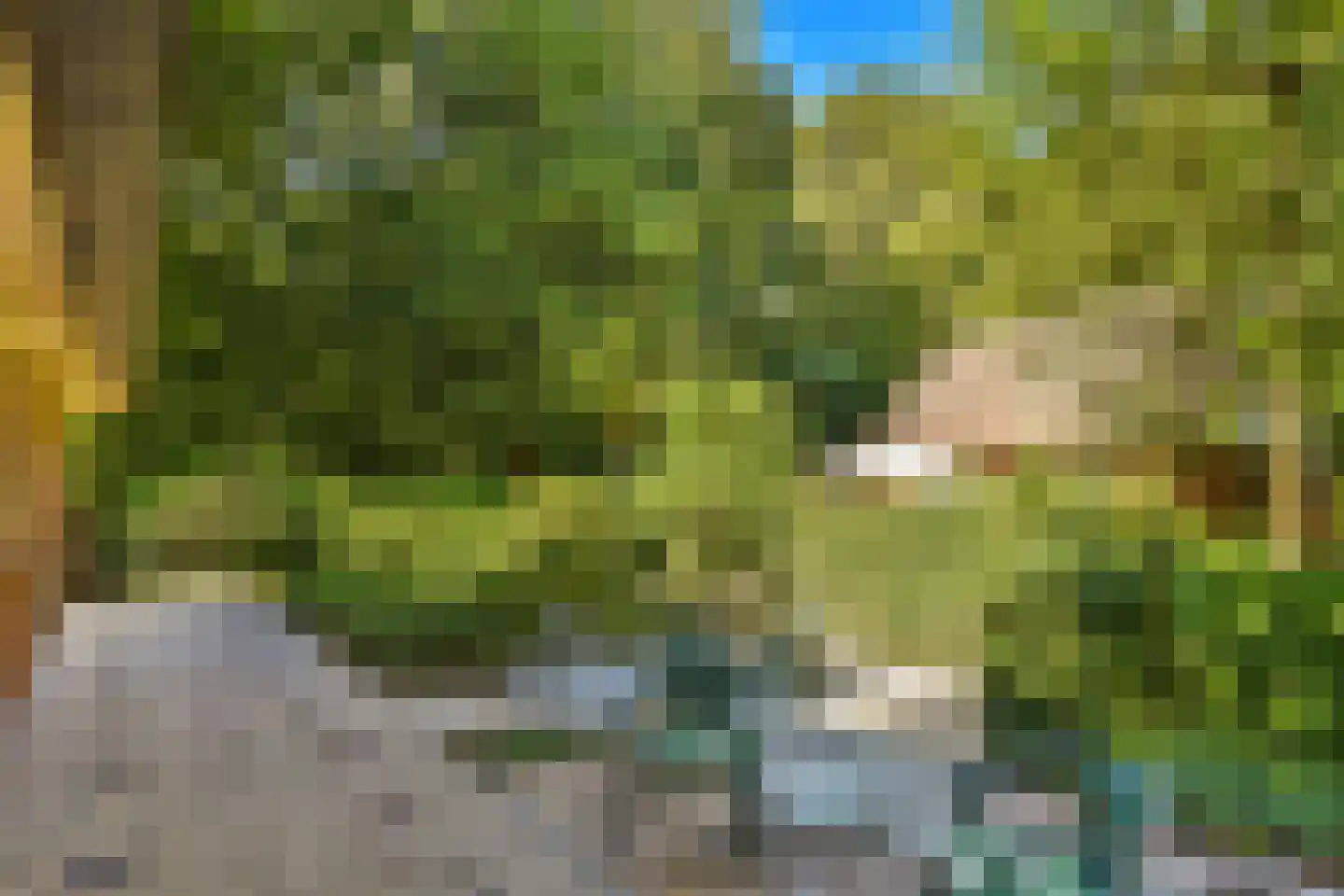Koeweg 17 22 Epe thumbnail 24