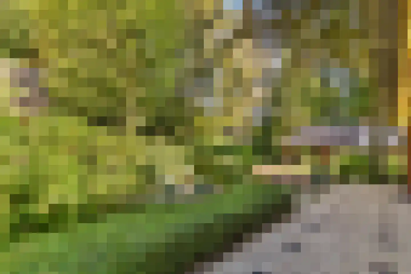 Koeweg 17 22 Epe thumbnail 25