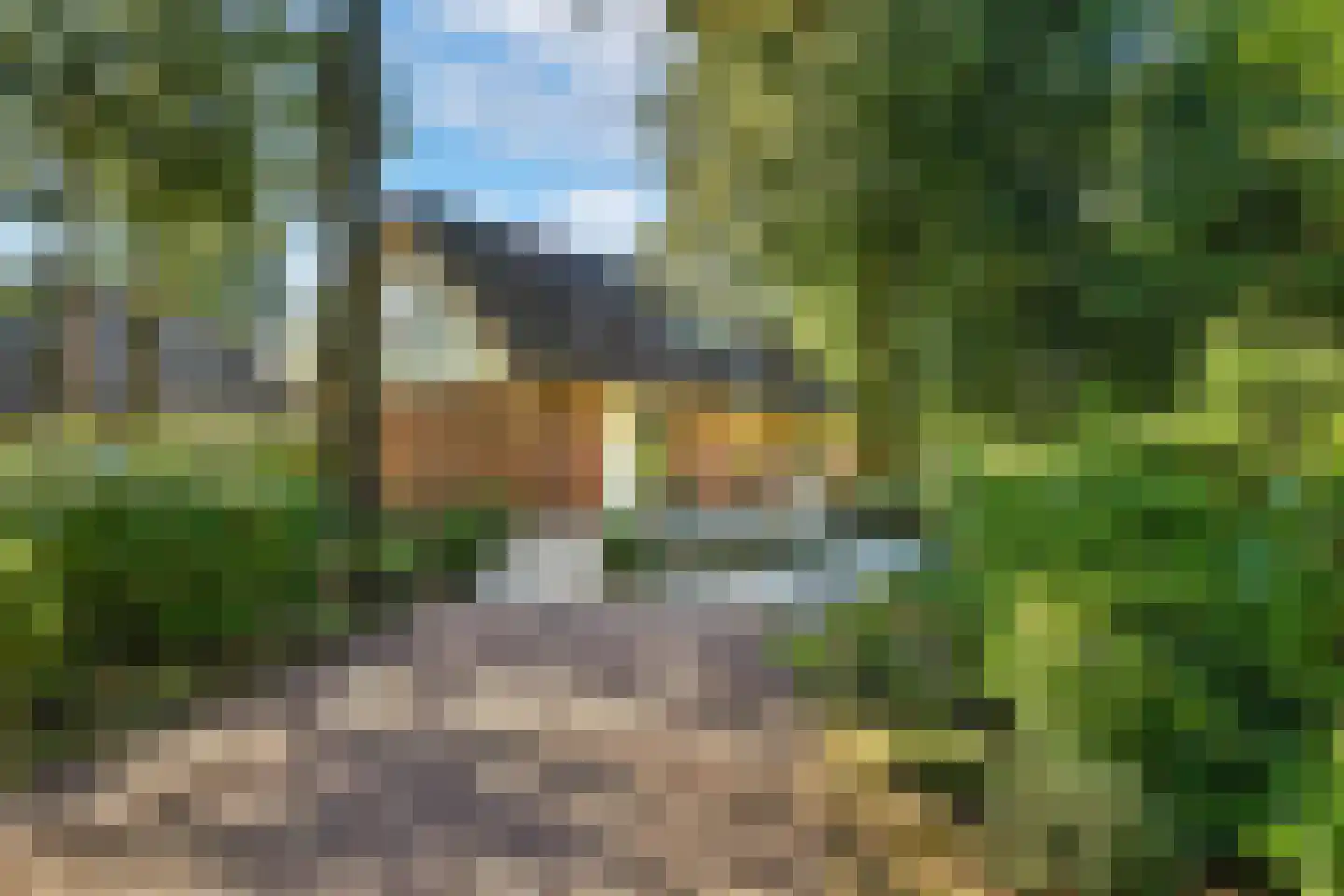 Koeweg 17 22 Epe thumbnail 26