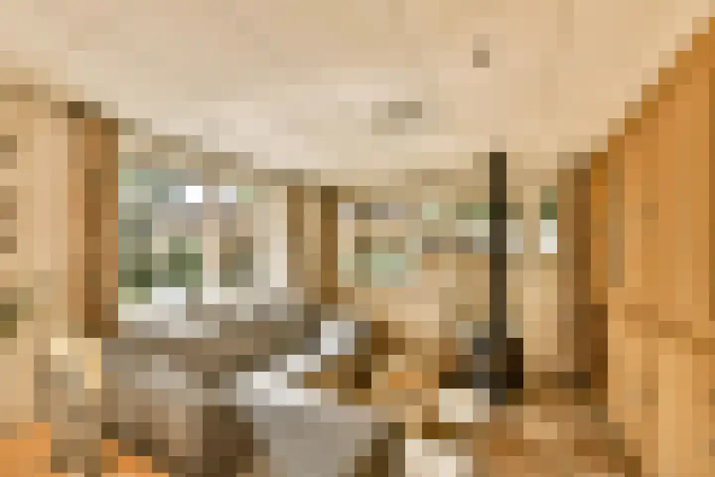 Koeweg 17 22 Epe thumbnail 7