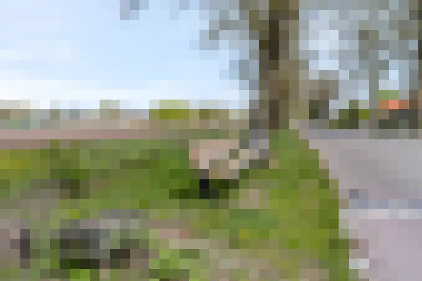 Koeweg 17 Otterlo thumbnail 78