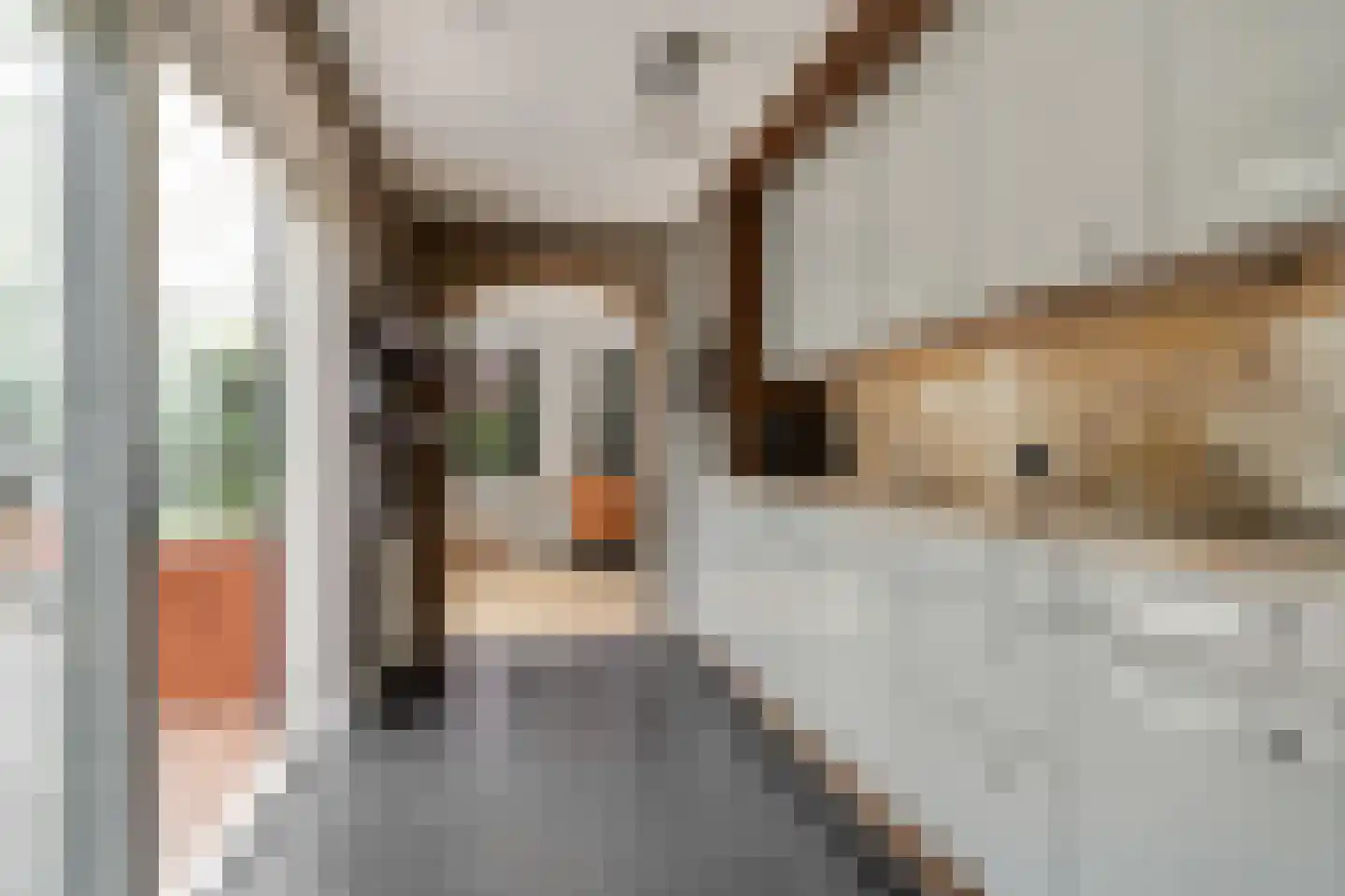 Koeweg 17 Otterlo thumbnail 9