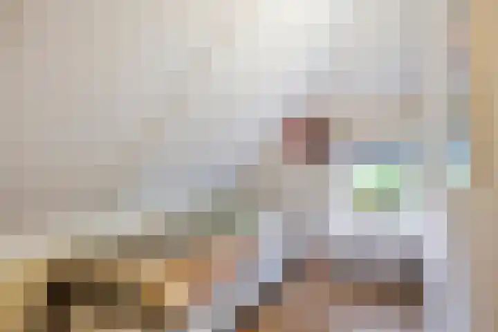 Koeweg 21 129 Epe thumbnail 19