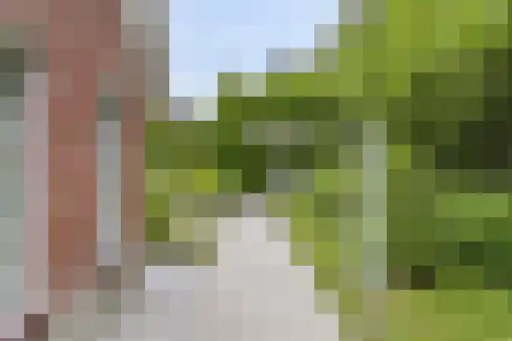 Koeweg 21 129 Epe thumbnail 25