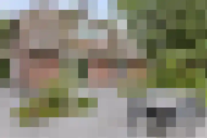 Koeweg 21 129 Epe thumbnail 27