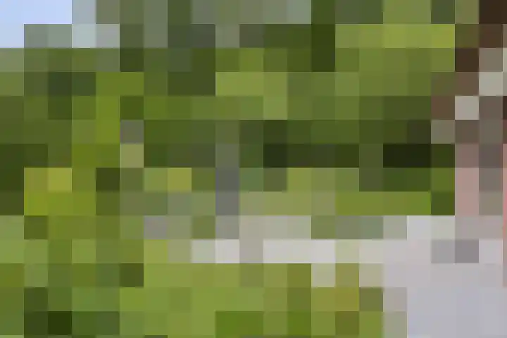 Koeweg 21 129 Epe thumbnail 28
