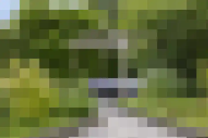 Koeweg 21 129 Epe thumbnail 29