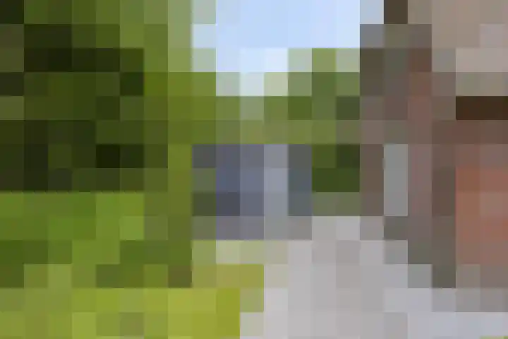 Koeweg 21 129 Epe thumbnail 30