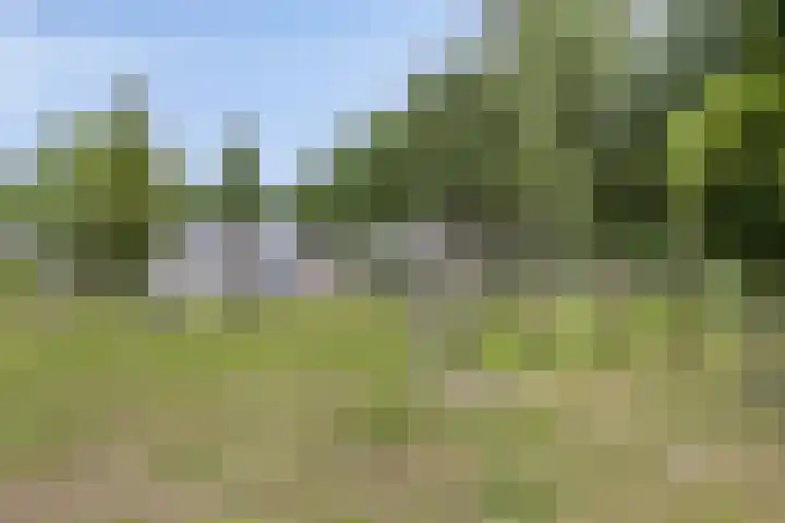 Koeweg 21 129 Epe thumbnail 34