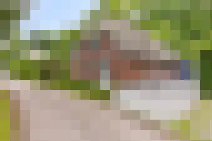 Koeweg 21 129 Epe thumbnail 35