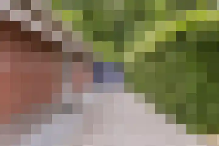 Koeweg 21 129 Epe thumbnail 5