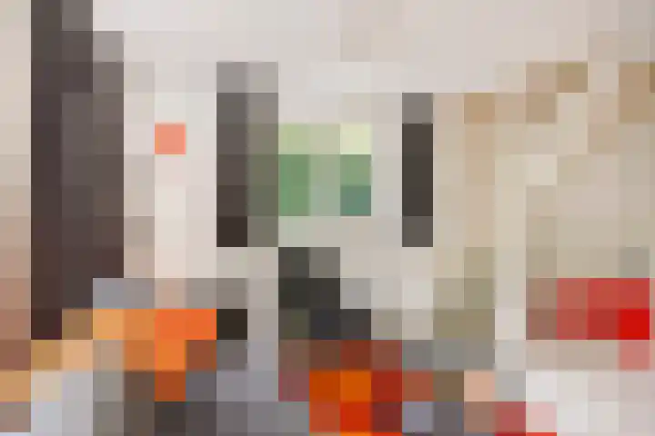Koeweg 21 129 Epe thumbnail 8
