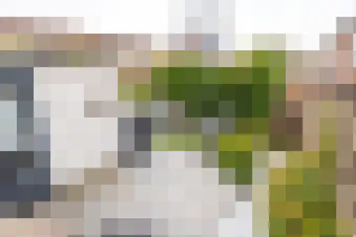 Koeweg 41 Landgraaf thumbnail 37
