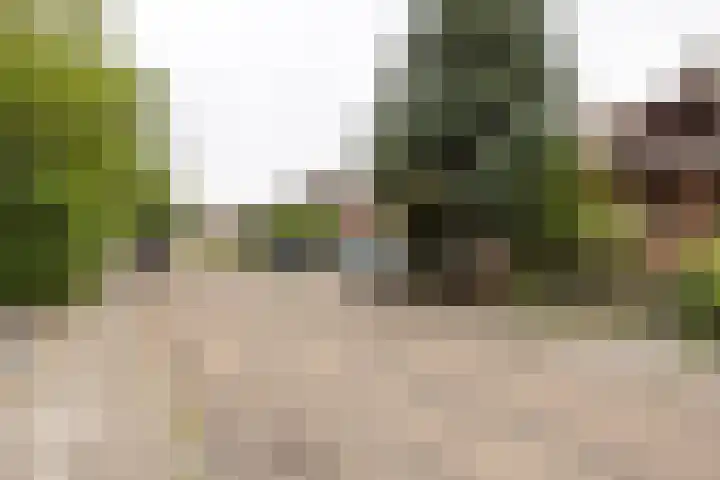 Koeweg 41 Landgraaf thumbnail 4