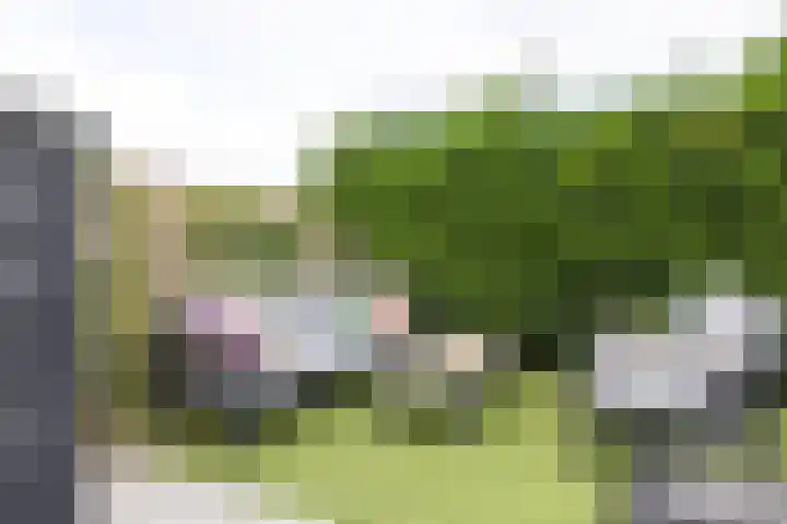 Koeweg 41 Landgraaf thumbnail 40