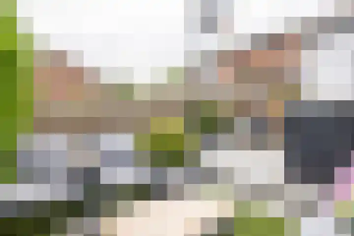 Koeweg 41 Landgraaf thumbnail 41