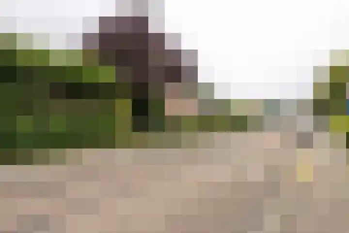 Koeweg 41 Landgraaf thumbnail 5