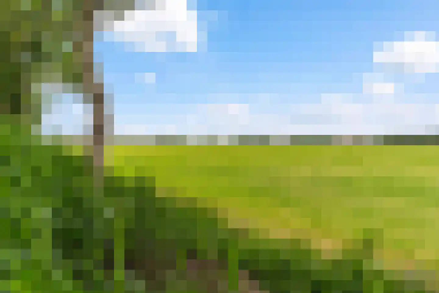 Koeweg 44 32 Stavoren thumbnail 33