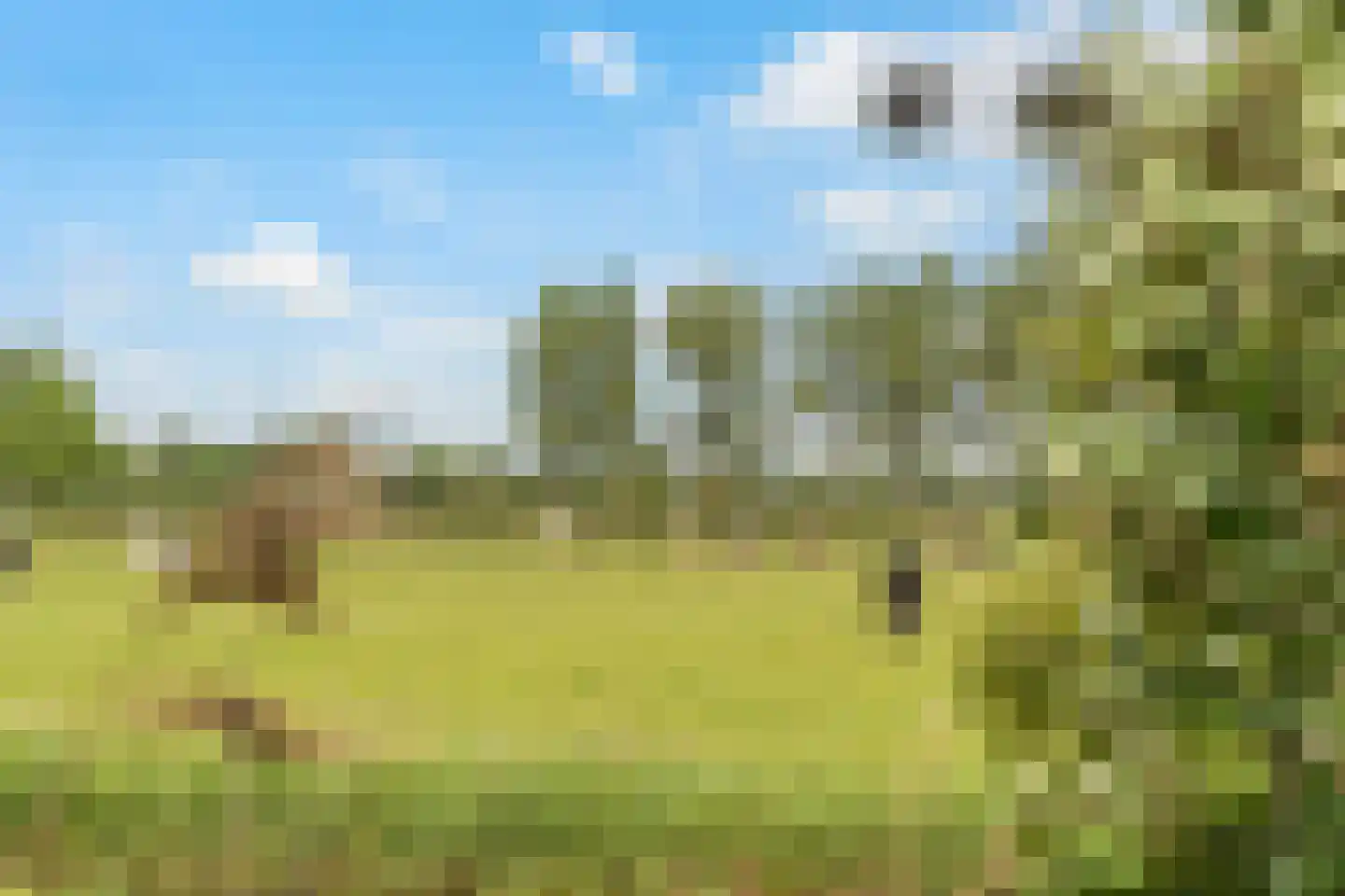Koeweg 44 32 Stavoren thumbnail 34