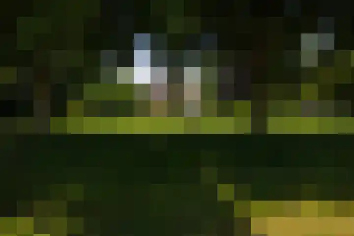 Koeweg 6 't Harde thumbnail 10