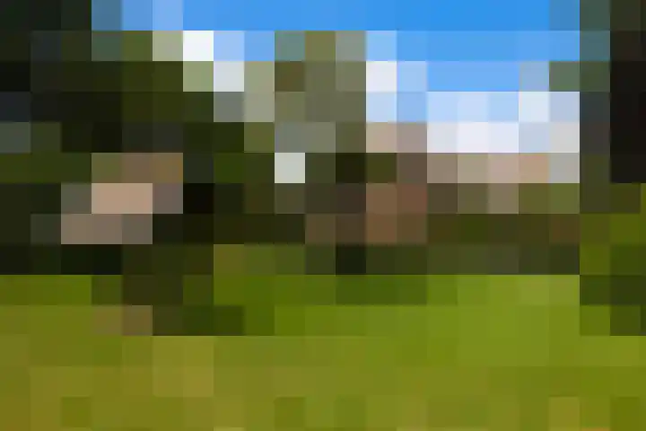 Koeweg 6 't Harde thumbnail 11