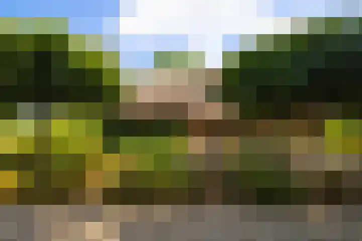 Koeweg 6 't Harde thumbnail 12