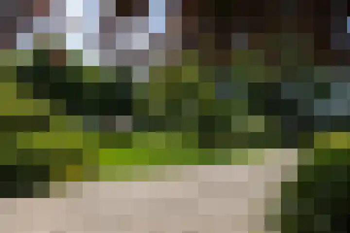 Koeweg 6 't Harde thumbnail 13