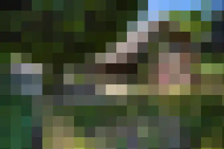 Koeweg 6 't Harde thumbnail 14