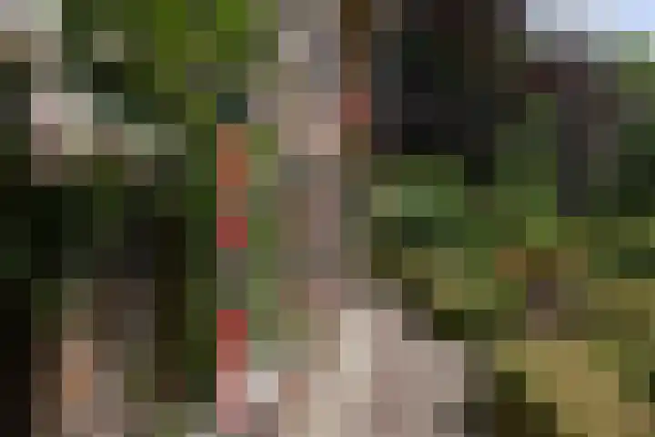 Koeweg 6 't Harde thumbnail 17
