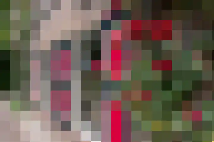 Koeweg 6 't Harde thumbnail 18