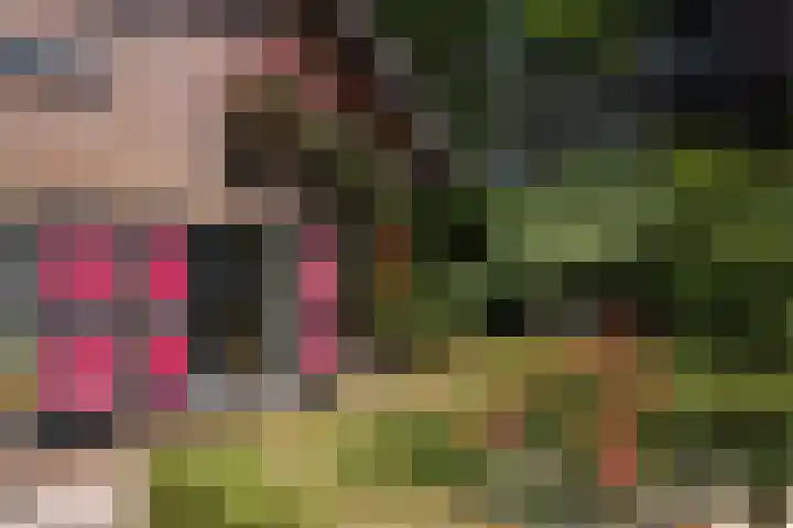 Koeweg 6 't Harde thumbnail 19
