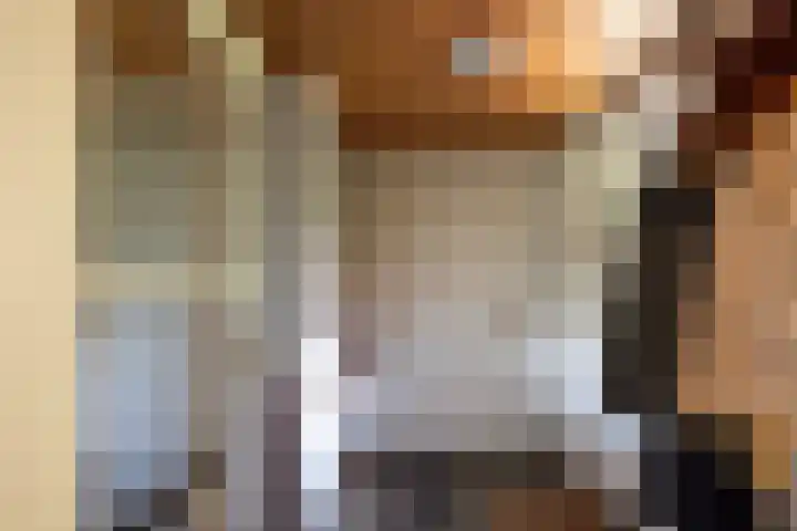 Koeweg 6 't Harde thumbnail 22
