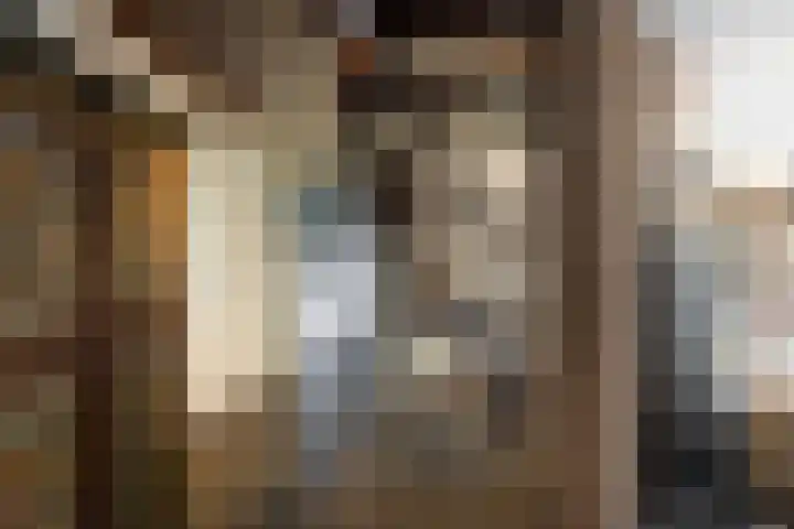 Koeweg 6 't Harde thumbnail 23