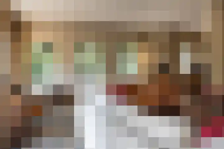 Koeweg 6 't Harde thumbnail 27