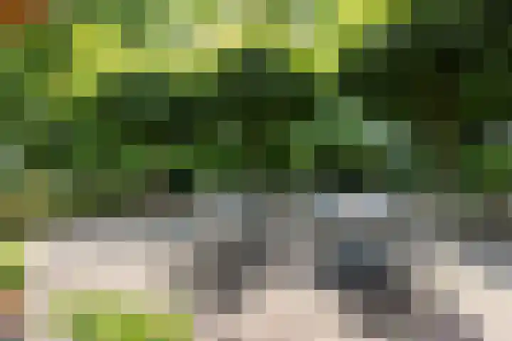 Koeweg 6 't Harde thumbnail 28