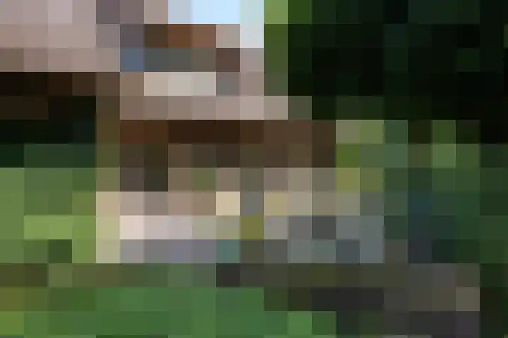 Koeweg 6 't Harde thumbnail 29