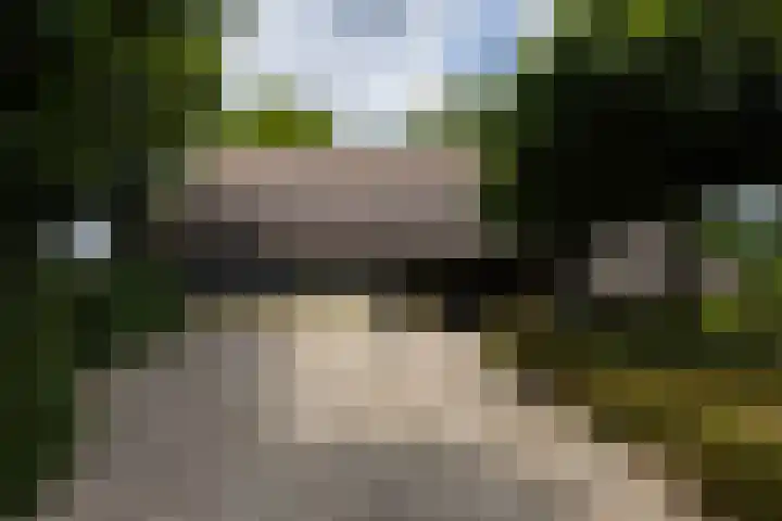 Koeweg 6 't Harde foto 3