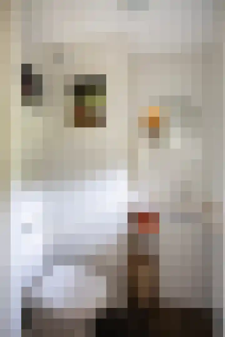 Koeweg 6 't Harde thumbnail 38