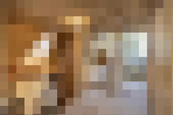 Koeweg 6 't Harde thumbnail 40