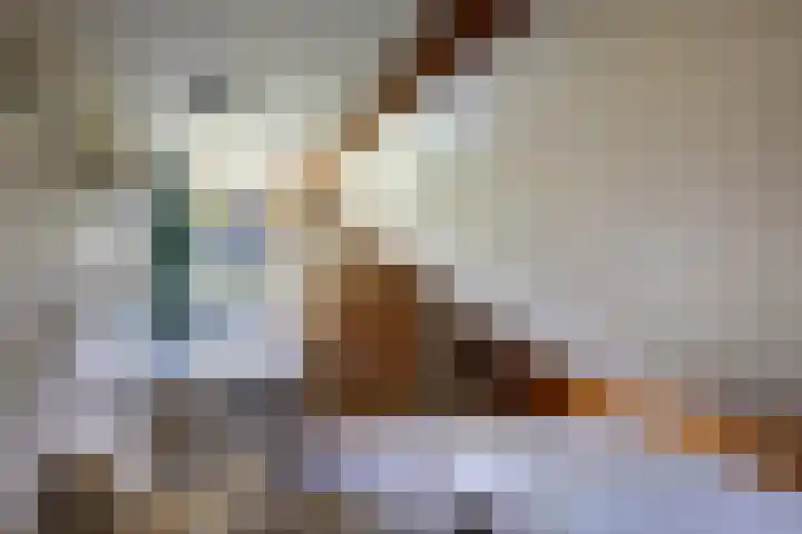 Koeweg 6 't Harde thumbnail 42