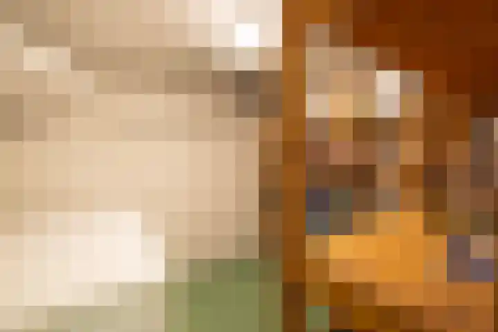 Koeweg 6 't Harde thumbnail 49