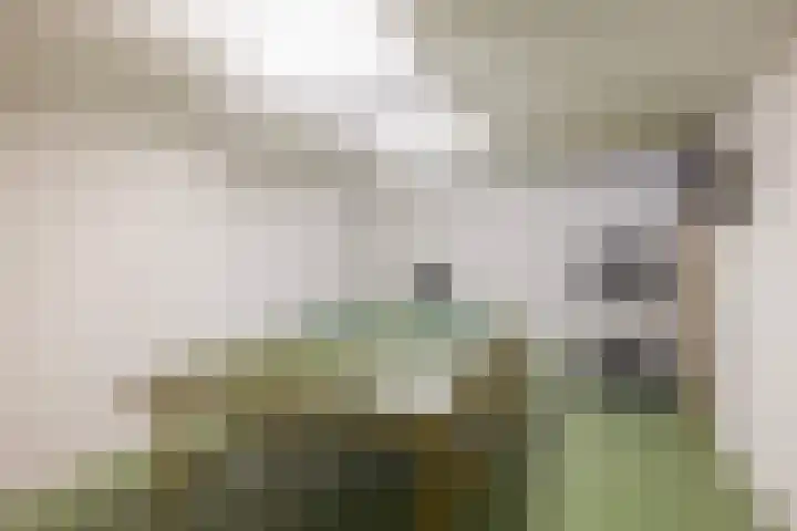 Koeweg 6 't Harde thumbnail 50