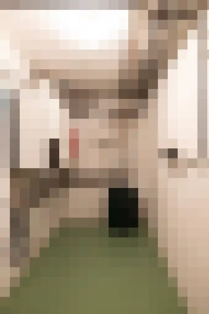Koeweg 6 't Harde thumbnail 51